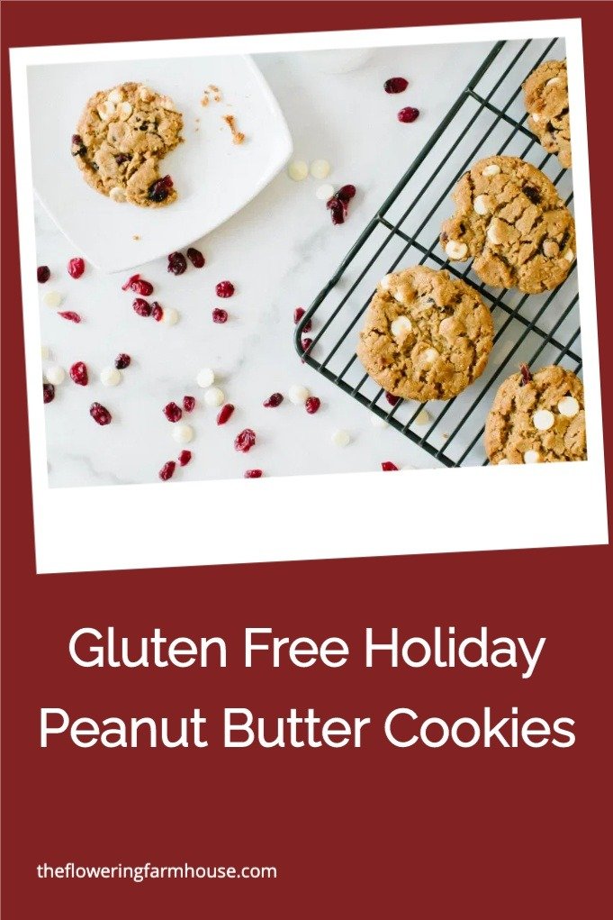 gluten-free peanut butter cookies
